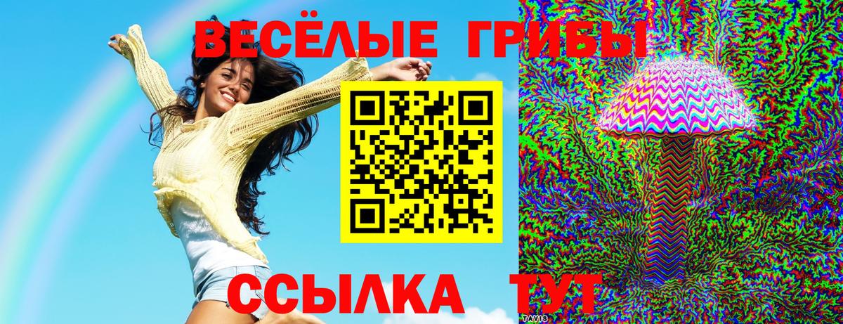 купить закладку  Галлюциногенные грибы GOLDEN TEACHER  Вход с VPN  Татарск 