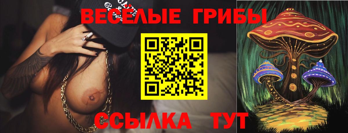 Галлюциногенные грибы прущие грибы Татарск